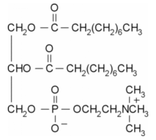 1,2-Динонаноил-sn-глицеро-3-фосфохолин 20 мкг / мл в хлороформе, ~ 99% (ТСХ) Sigma P8648