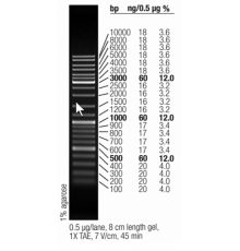 Маркер длин ДНК GeneRuler Mix, 15 фрагментов от 100 до 10000 п.н., 0,5 мкг/мкл, Thermo FS