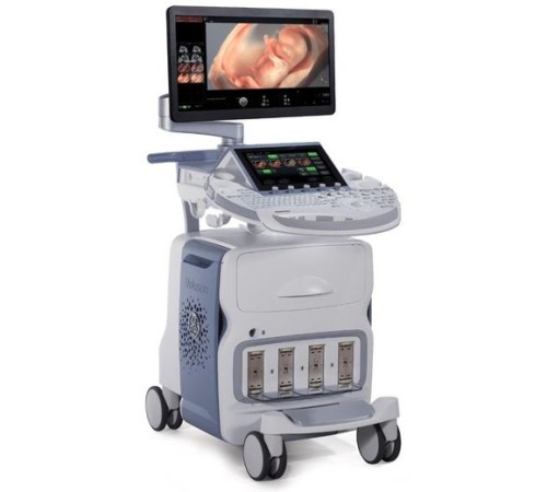 GE Healthcare Voluson E10